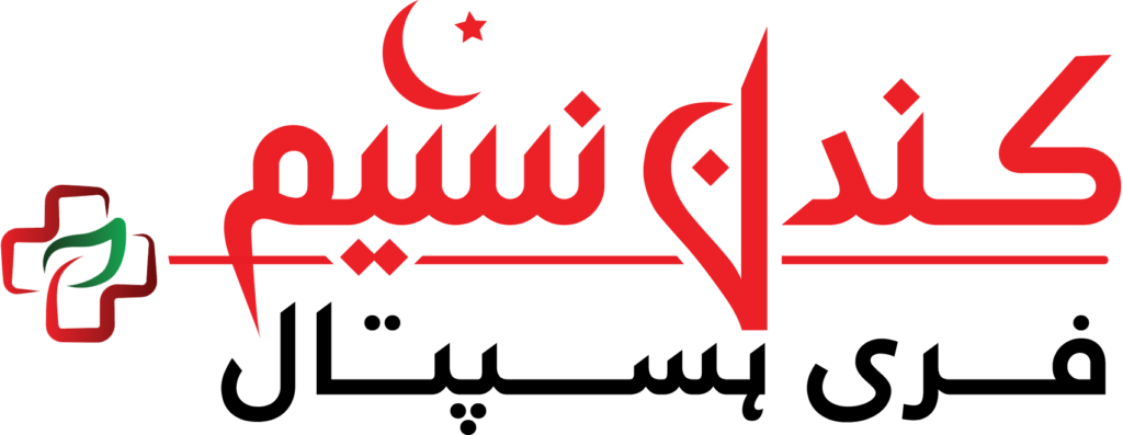 Kundan Naseem Hospital Shah Sikandar Road Dera Ghazi Khan